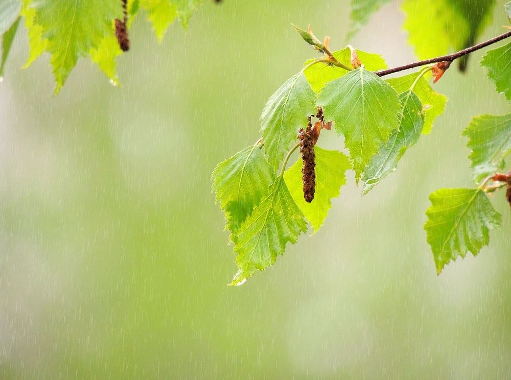 Photograph by Савоцкий Роман