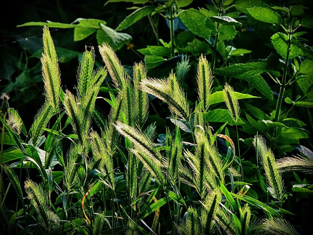 Photograph by Савоцкий Роман