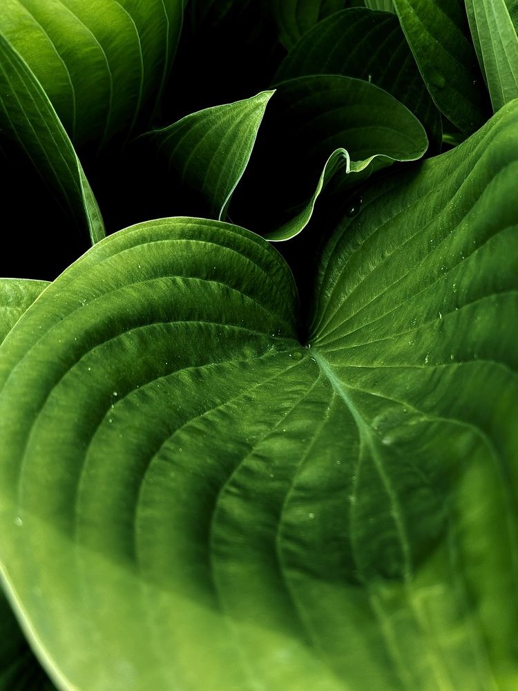 Photograph by Михаил Кондрухов