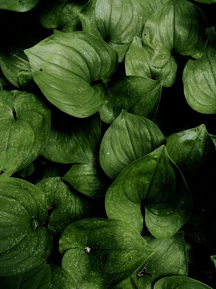 Photograph by Михаил Кондрухов