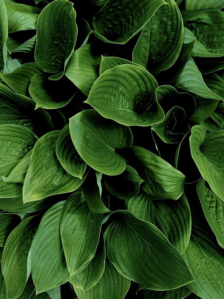 Photograph by Михаил Кондрухов