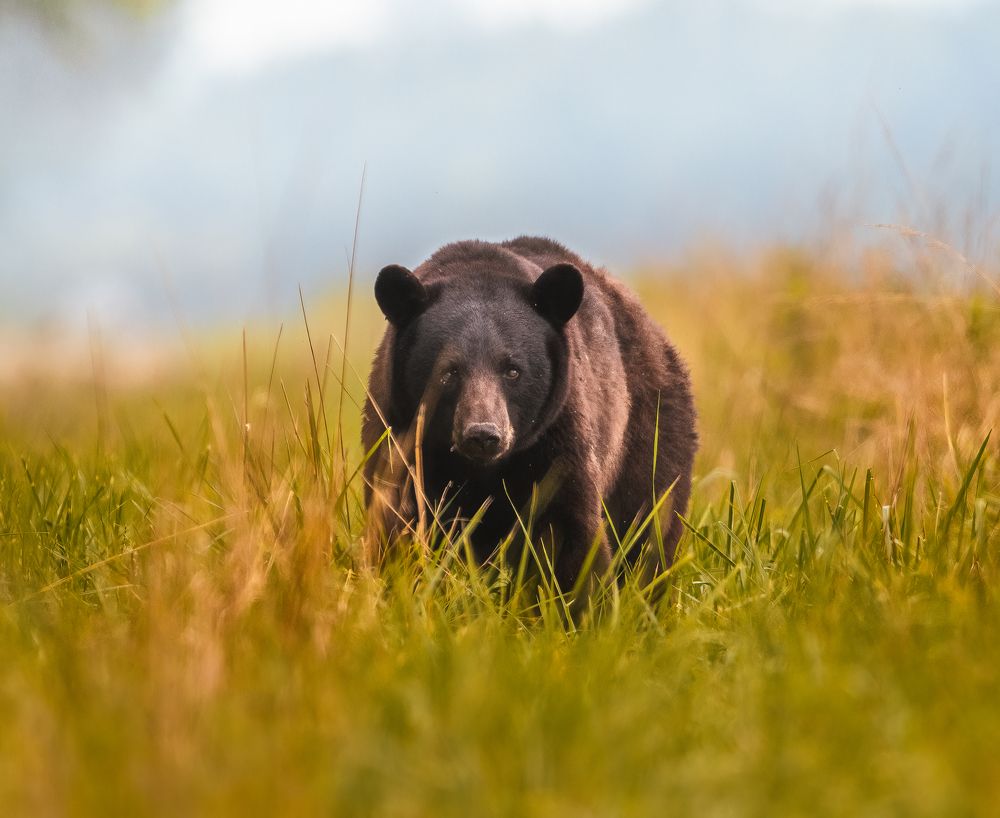 Photograph by Richard Sanchez