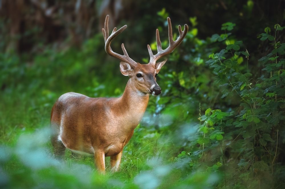 Photograph by Richard Sanchez