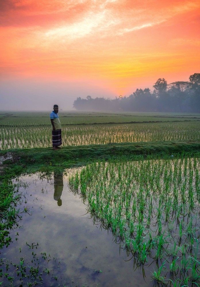 Photograph by Mahmud Tareq Khan