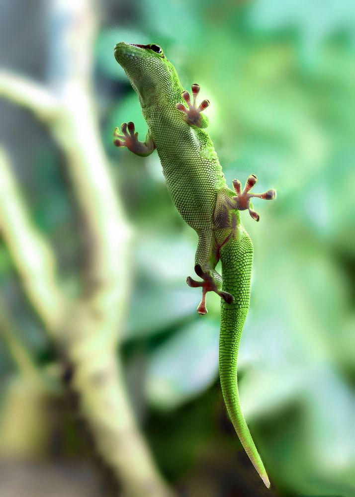 Photograph by Белевитин Михаил