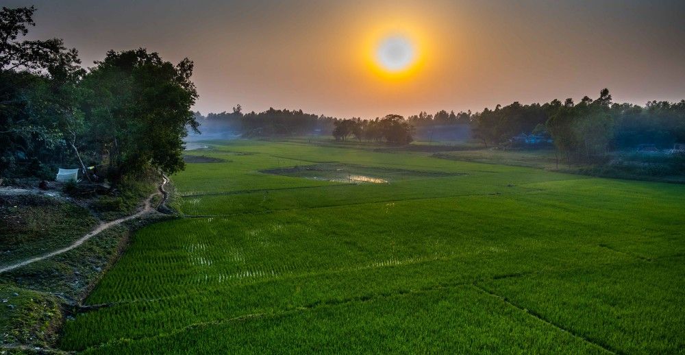 Photograph by Mahmud Tareq Khan