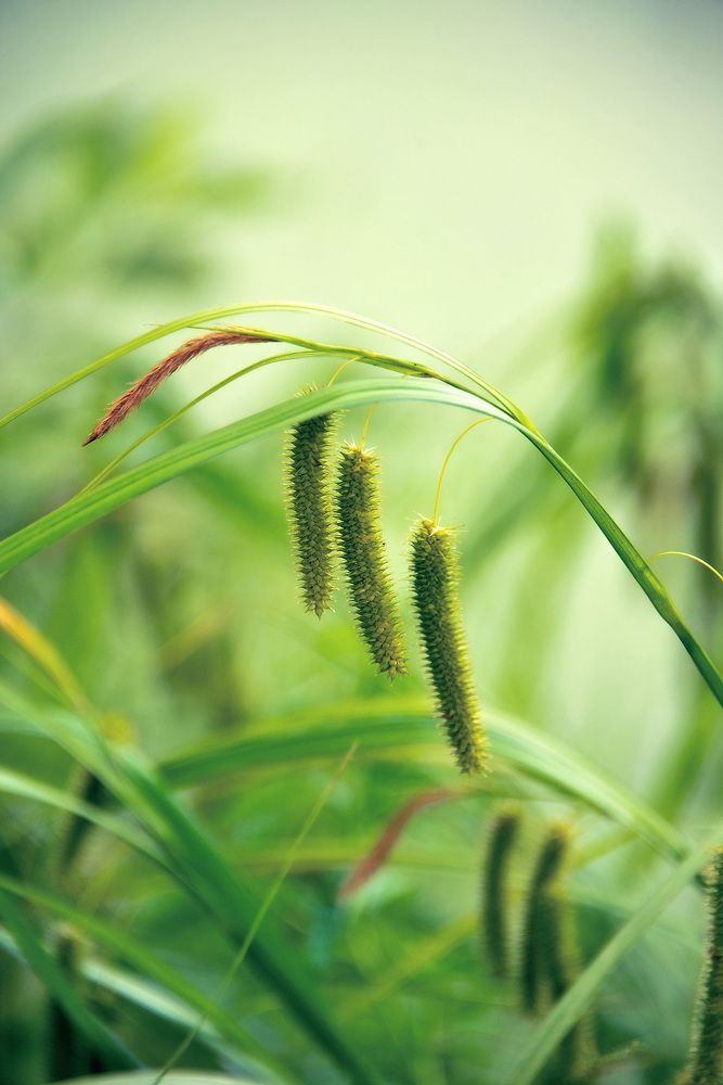 Photograph by Белевитин Михаил