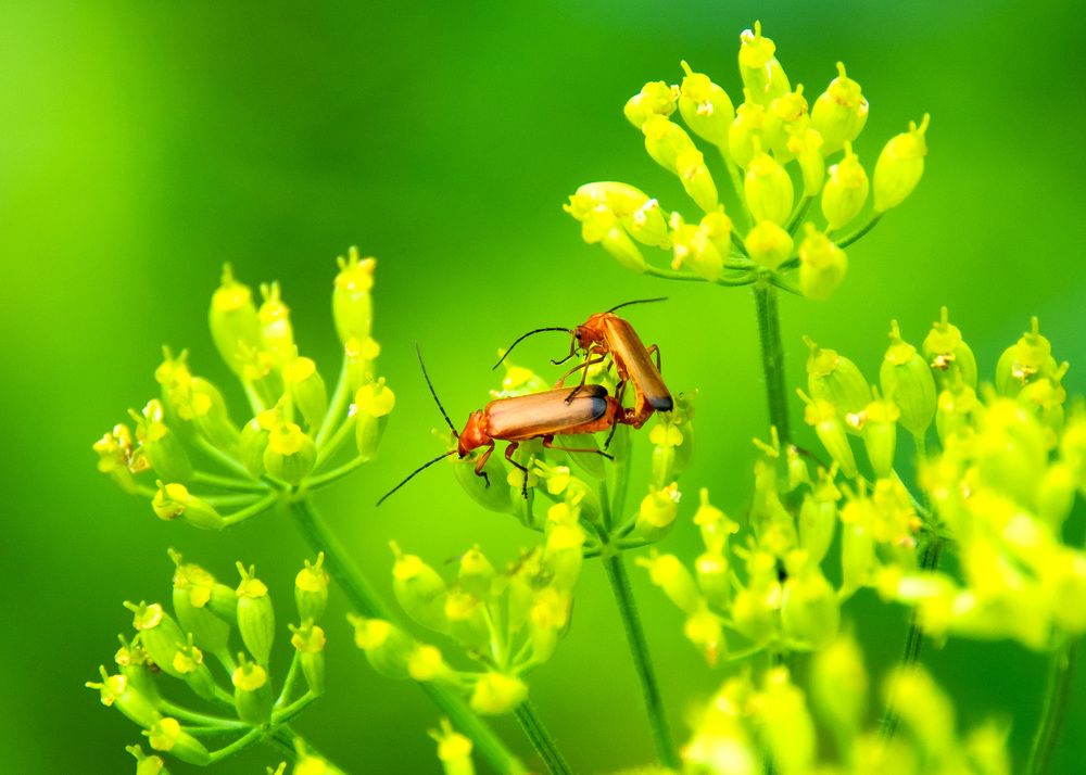 Photograph by Белевитин Михаил