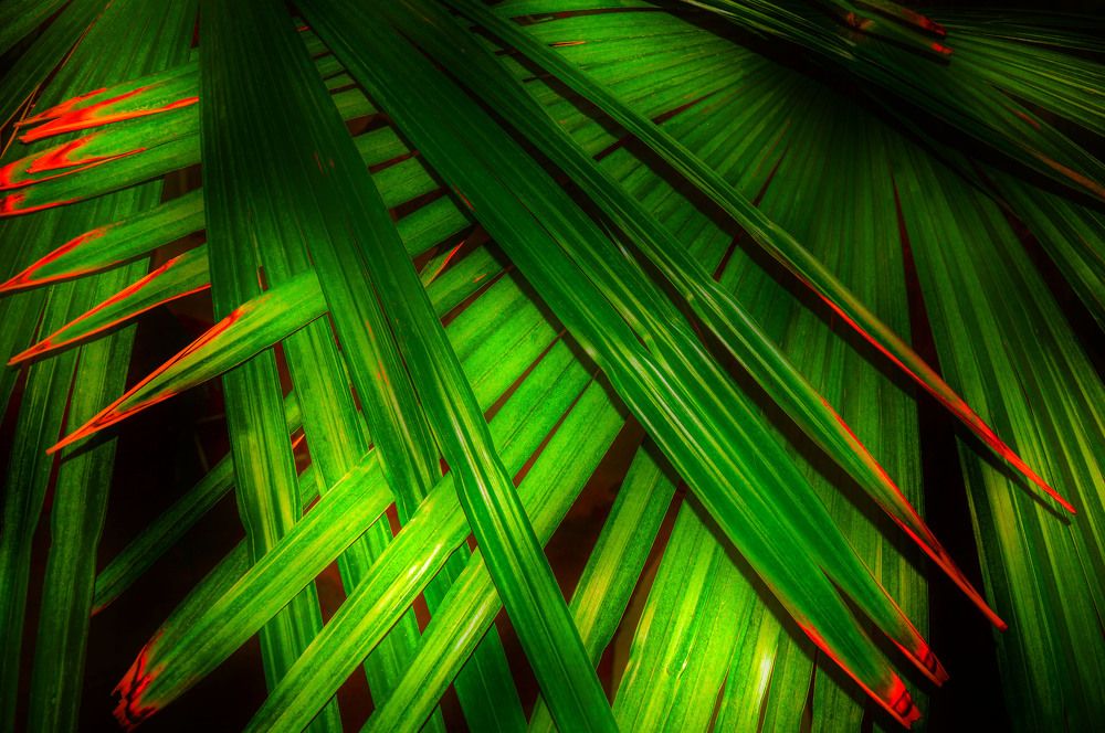 Photograph by Ирина Александрович