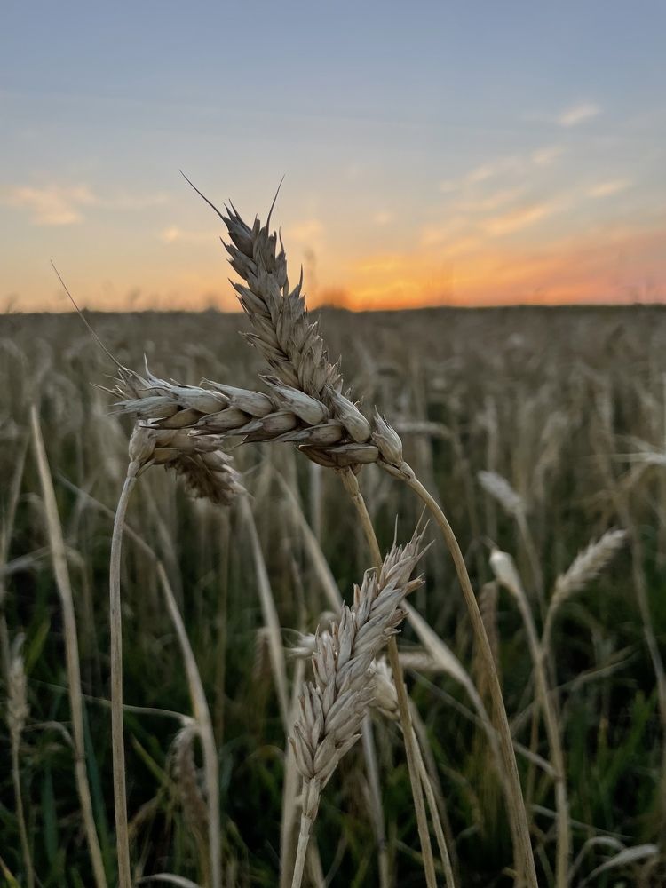 Photograph by Анна