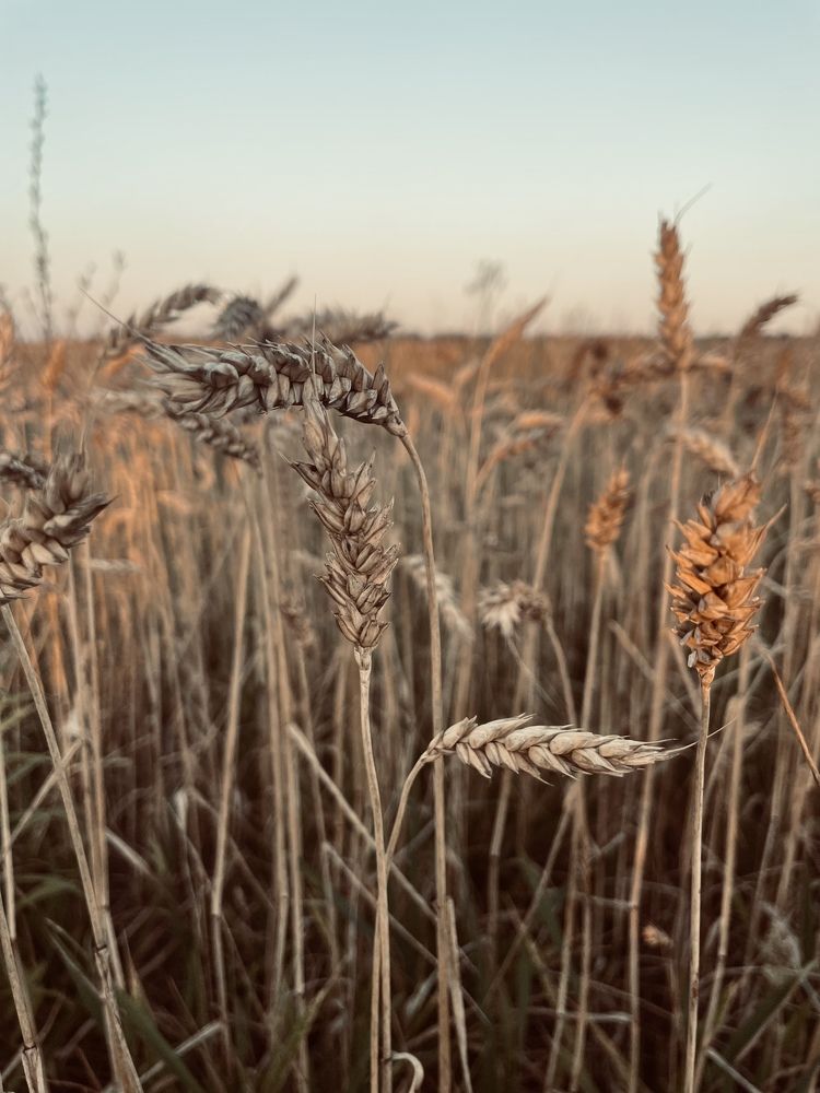 Photograph by Анна