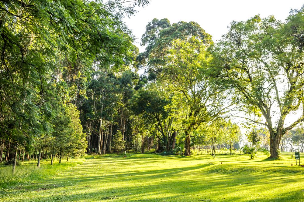 Photograph by Antony Trivet