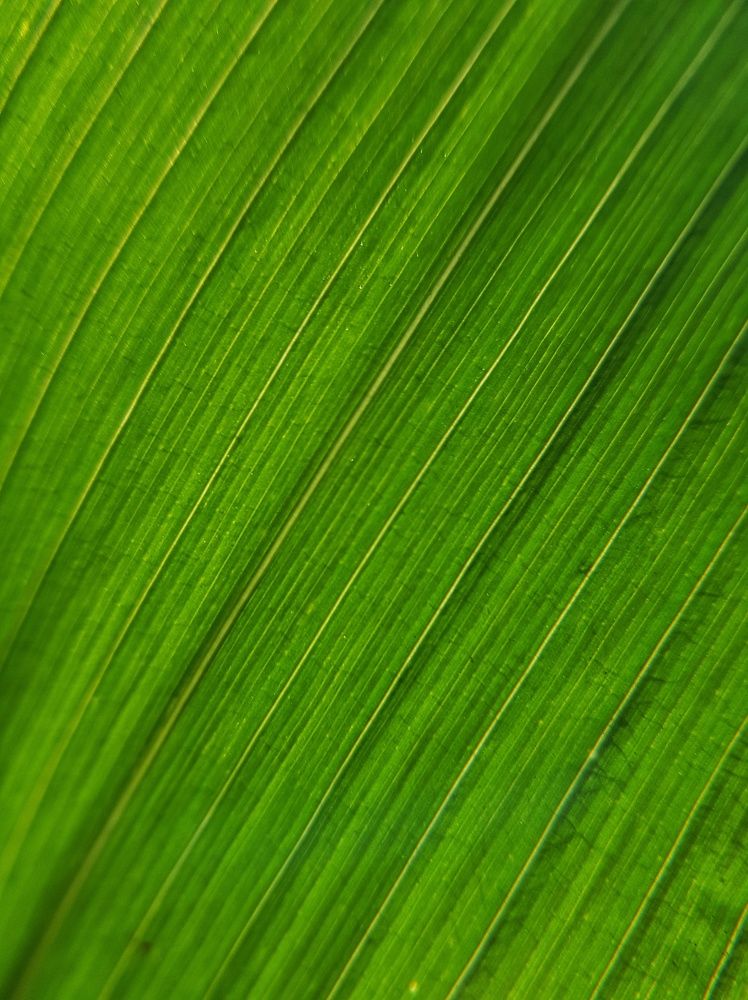 Photograph by Алла Никушкина