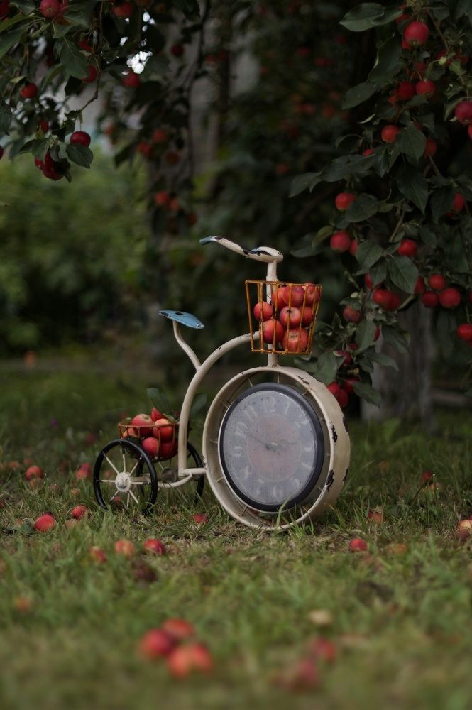 Photograph by Анастасия Позинич