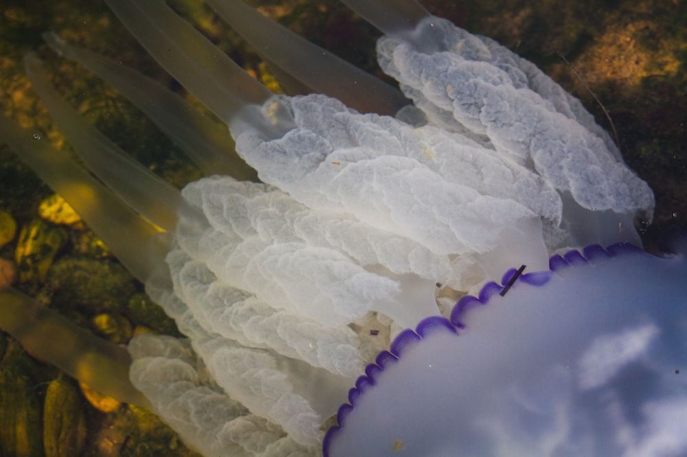 Photograph by Константин Бокарев