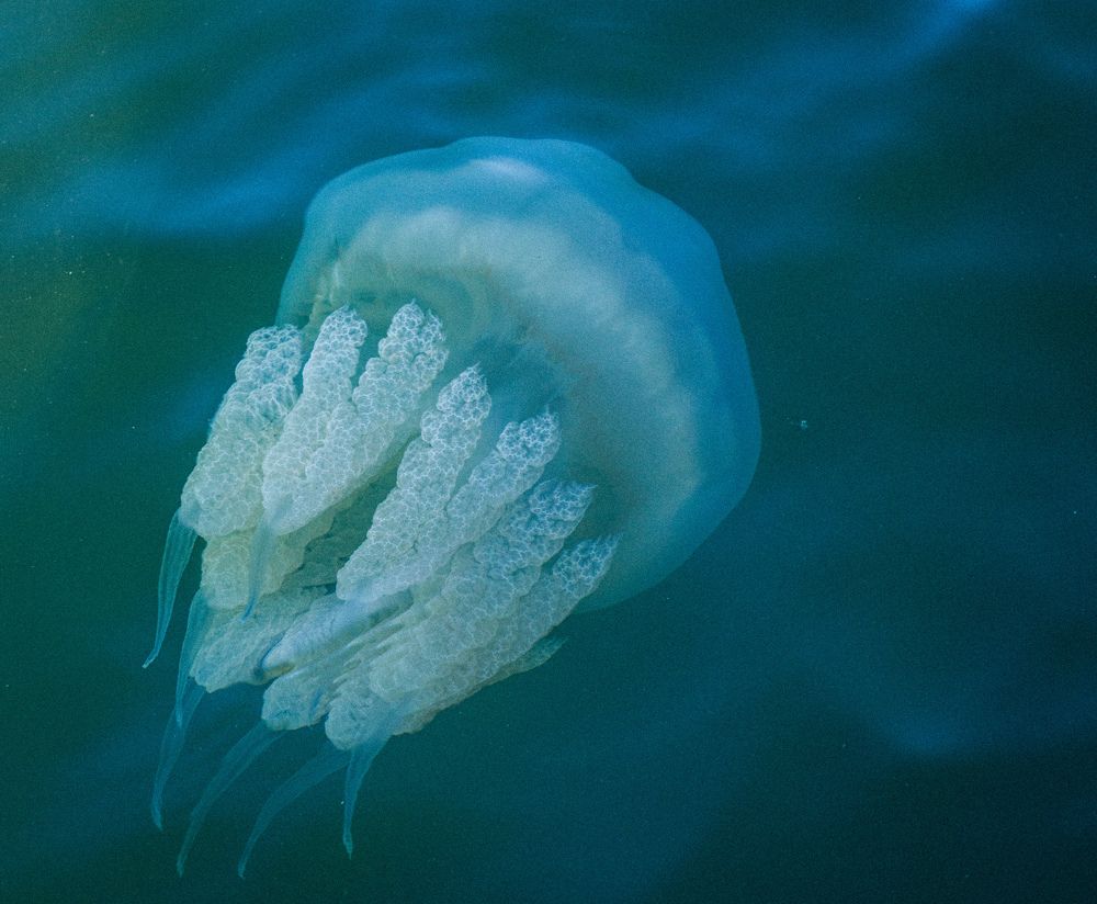 Photograph by Константин Бокарев