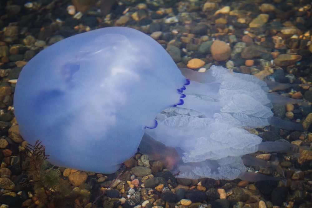 Photograph by Константин Бокарев