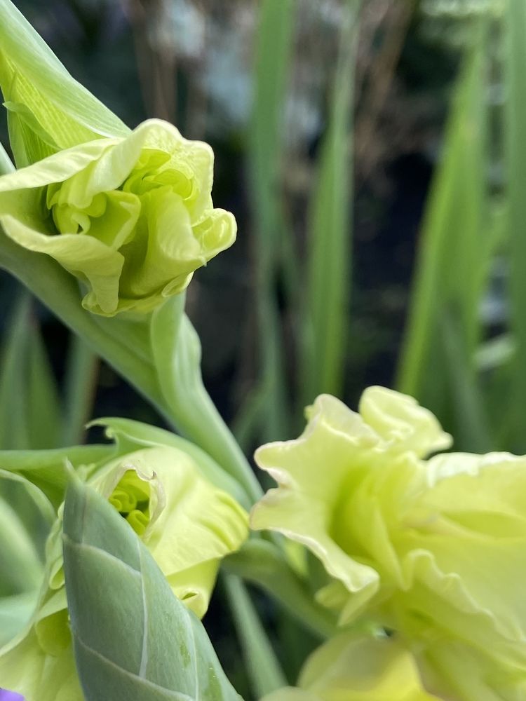 Photograph by Марина Толстопятова