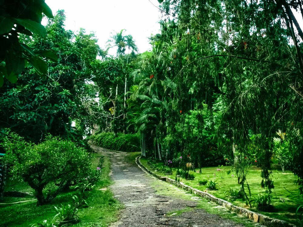 Сад орхидей Сороа