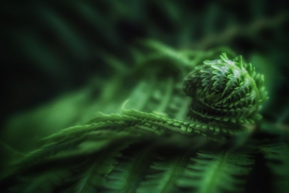 Photograph by Вадалагина