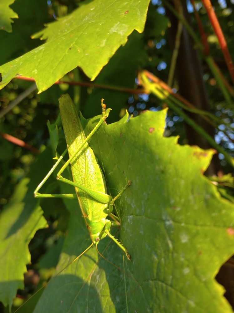 Photograph by Елена Коробченко