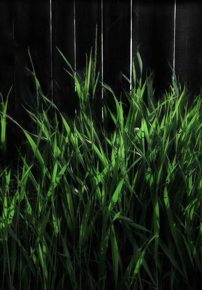 Photograph by Анастасия Дубинина