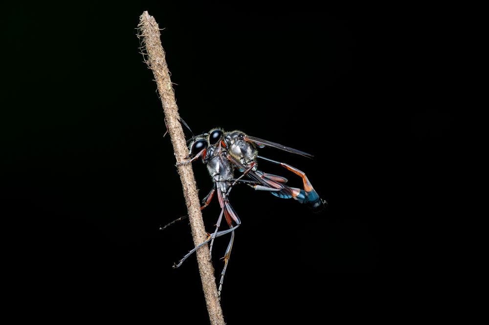 Photograph by Manjunath S