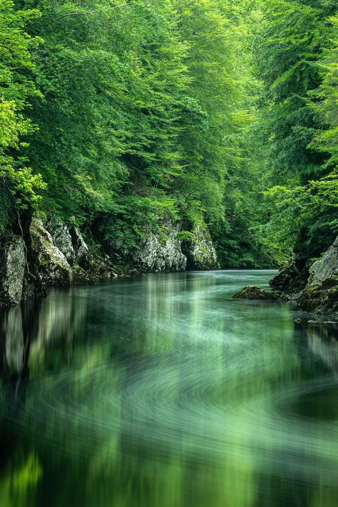 Photograph by Ламара Авалишвили