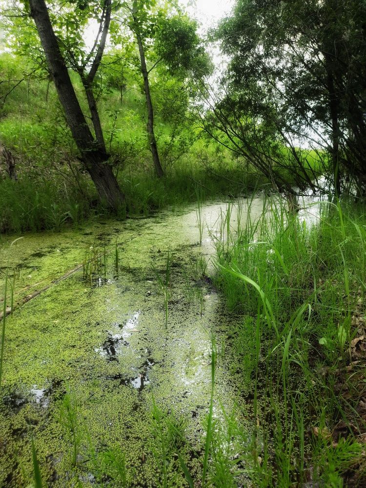 Photograph by Анастасия Дубинина