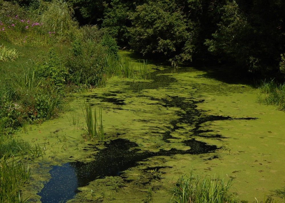 Photograph by Ирина Самойленко