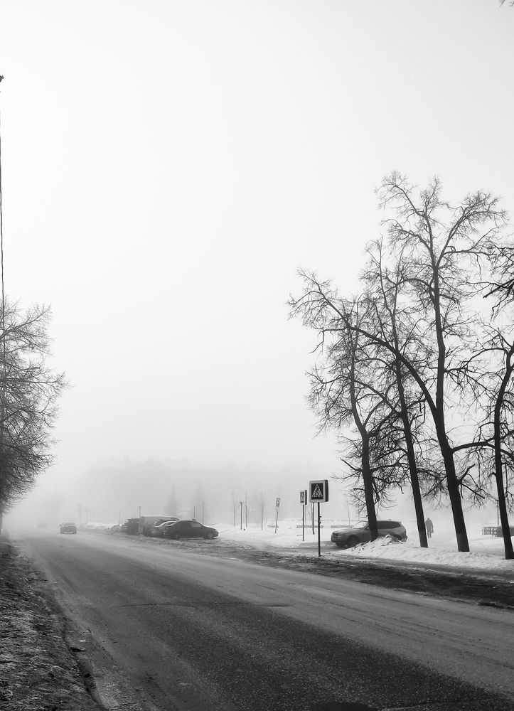 Photograph by Вера Рябинина