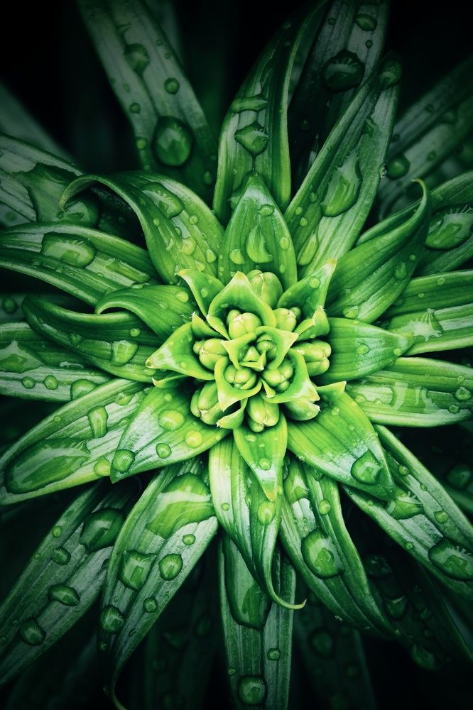 Photograph by Виктория Старовойтова