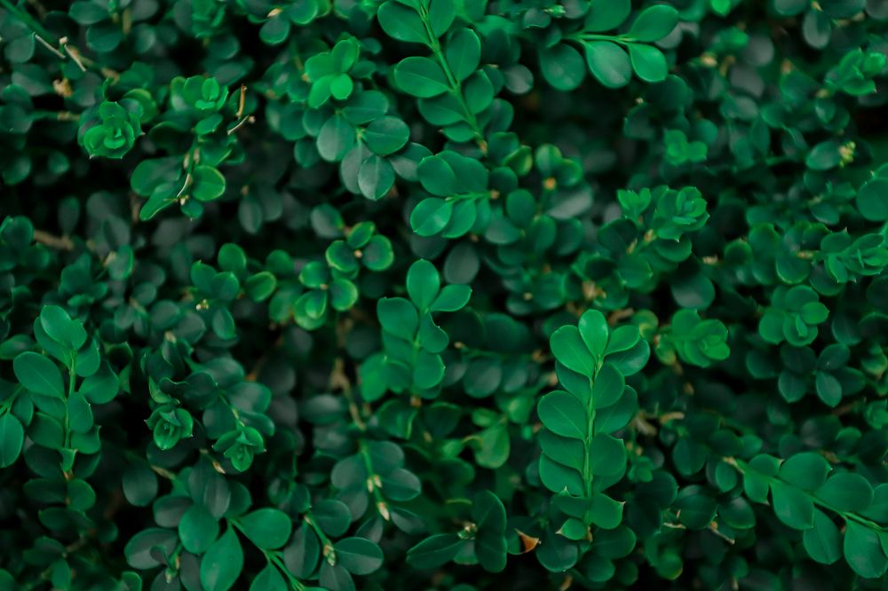 Photograph by Дмитрий Лепаков