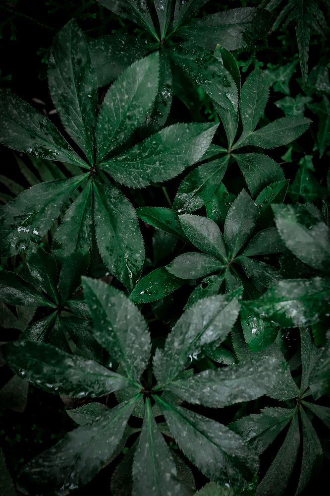 Photograph by Дмитрий Лепаков