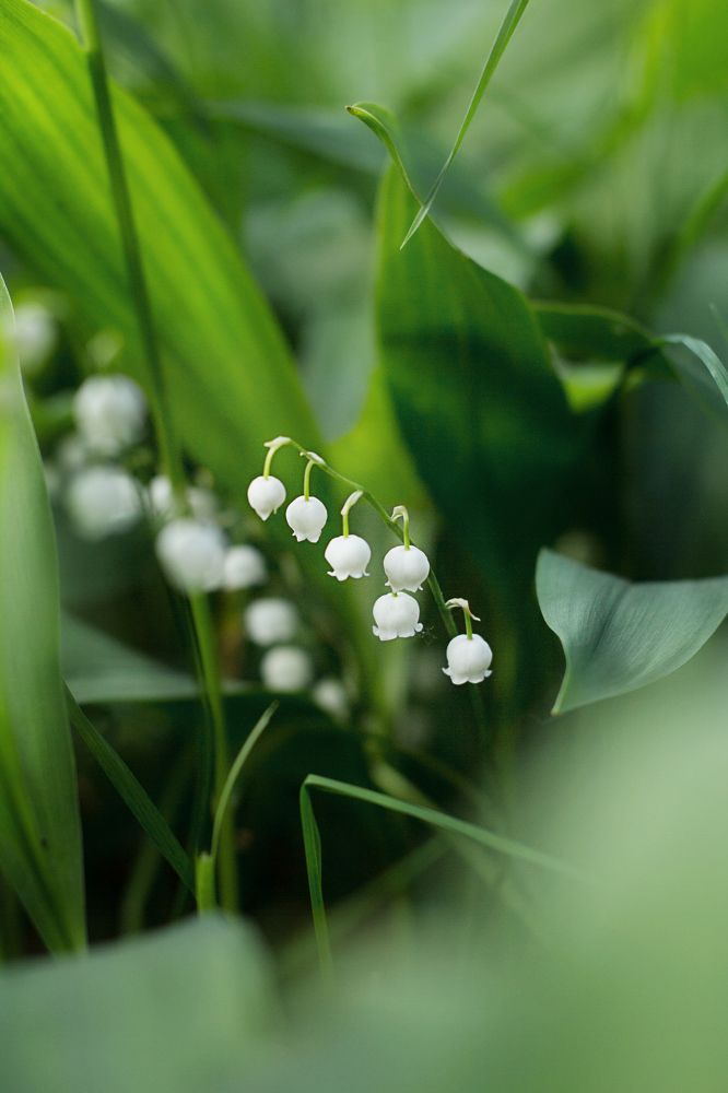 Photograph by Елена Макшеева