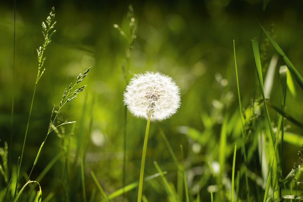 Photograph by Елена Макшеева