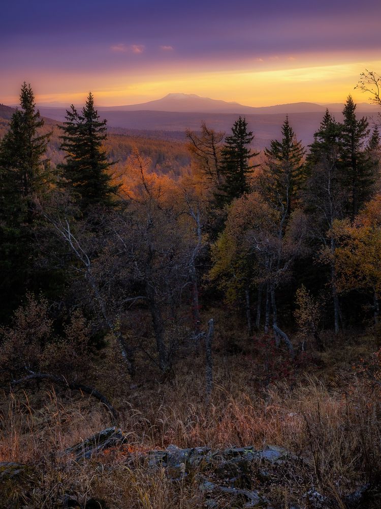 Photograph by Анастасия Глазюк