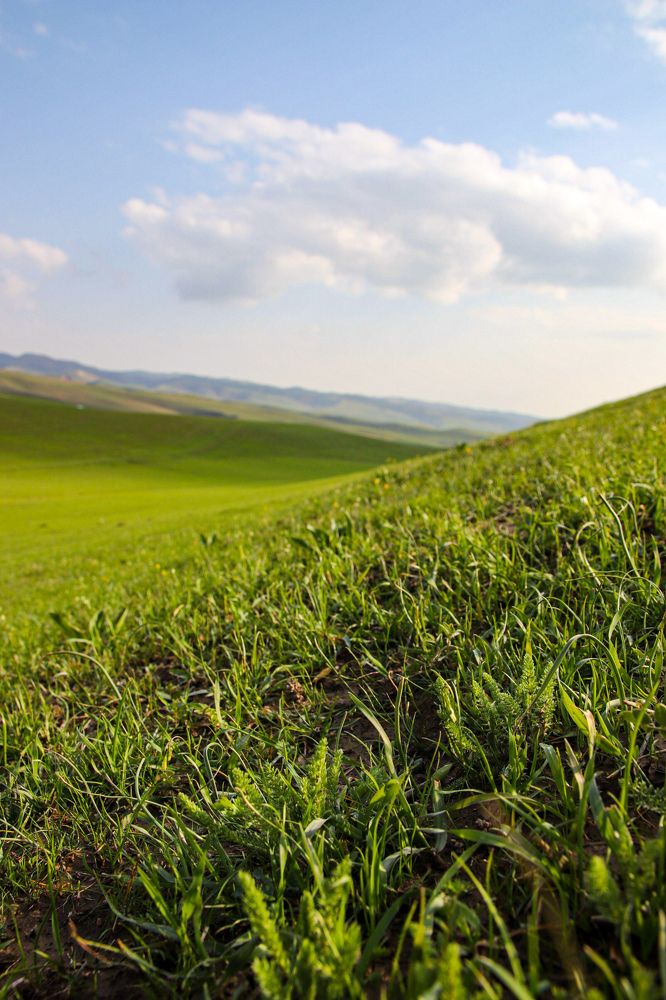 Photograph by Оксана Сафина