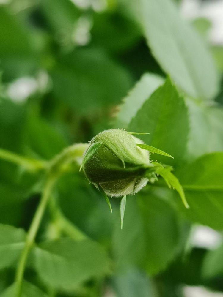 Photograph by Наталья Круглова