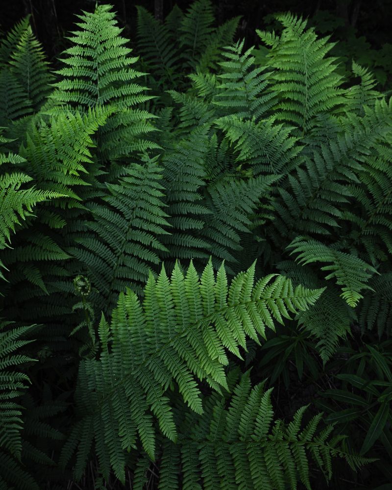 Photograph by Евгений Волосков