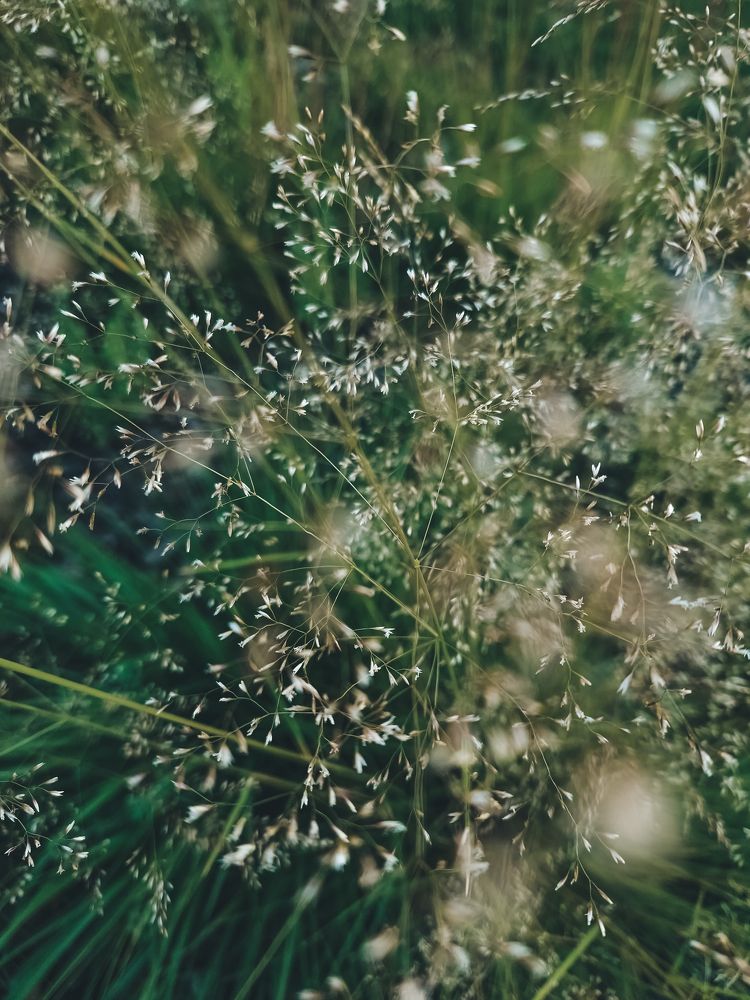 Photograph by Liudmila Kirillova