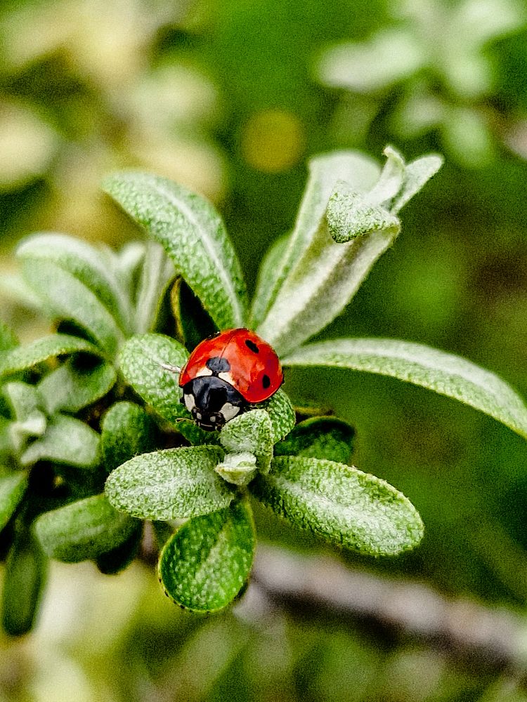 Photograph by Liudmila Kirillova