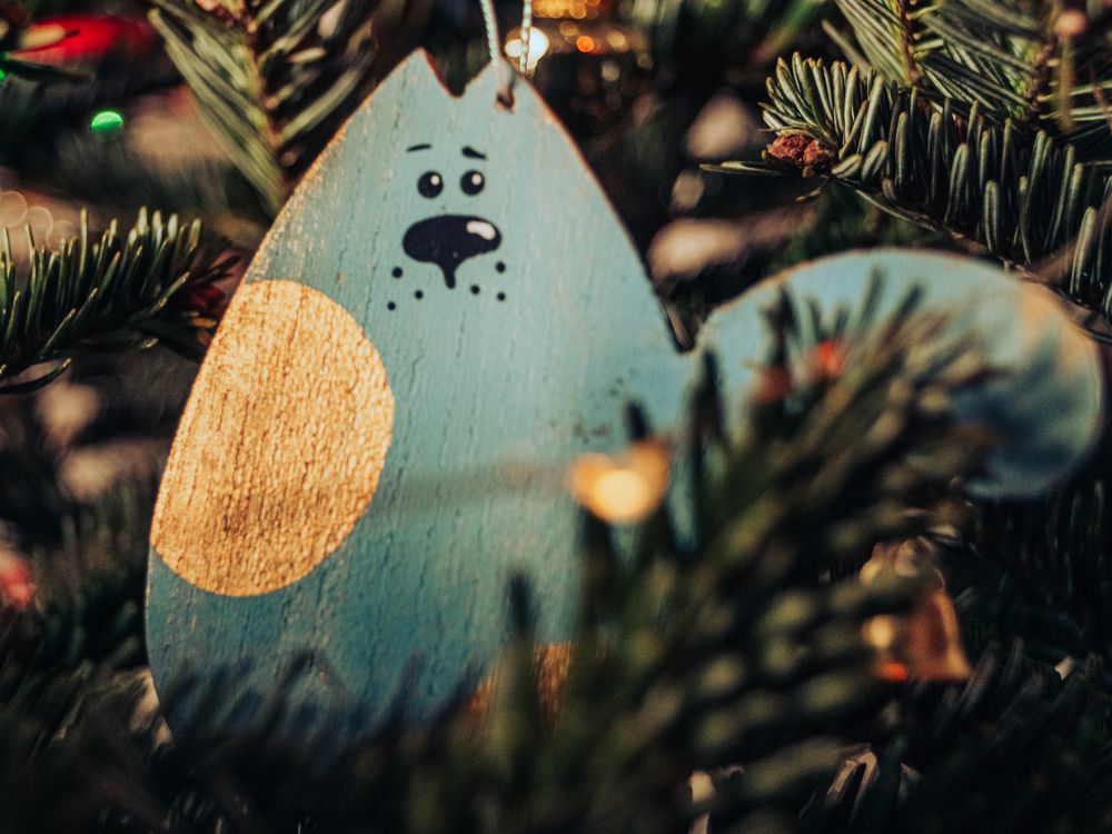 Photograph by Liudmila Kirillova