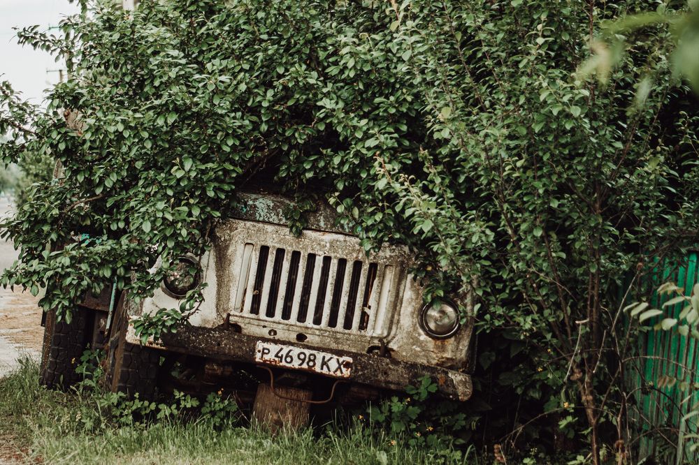 Photograph by Liudmila Kirillova