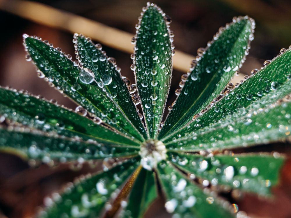 Photograph by Liudmila Kirillova