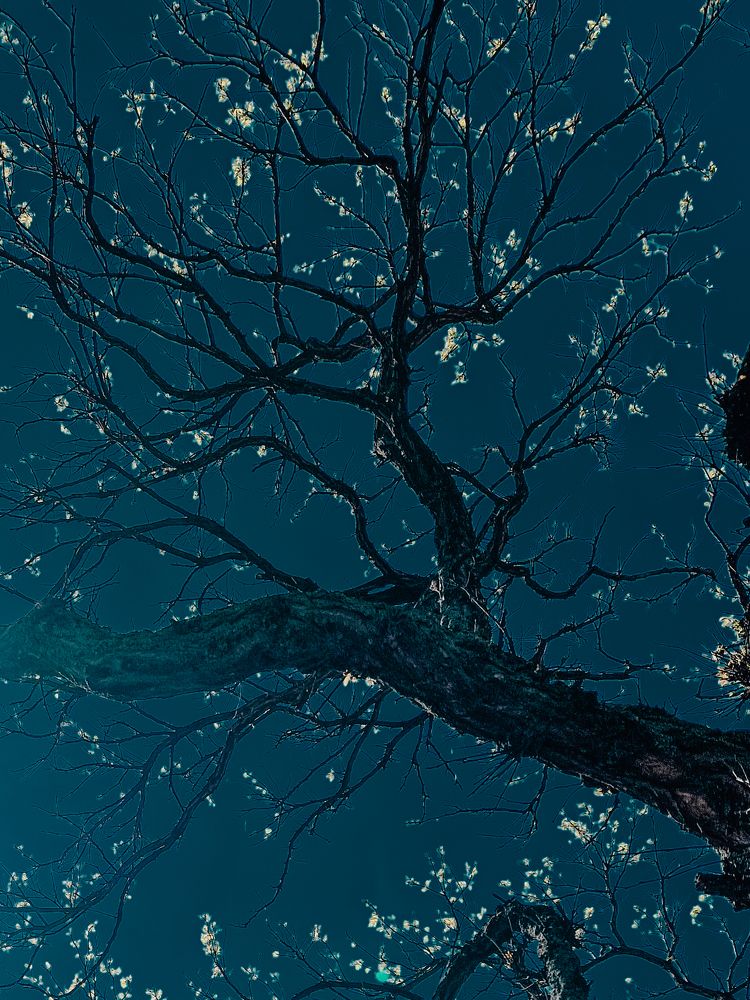 Photograph by Liudmila Kirillova