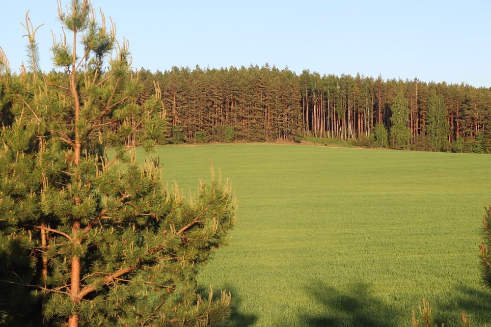 Фотография автора Анастасия Богдан