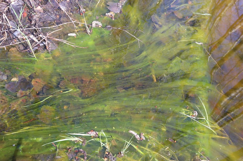 Фотография автора Анастасия Богдан