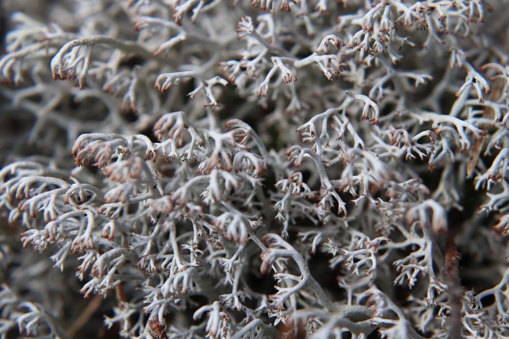 Фотография автора Анастасия Богдан