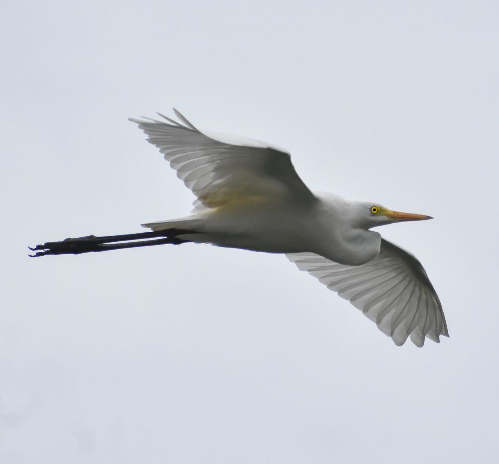 Photograph by Ajeesh A